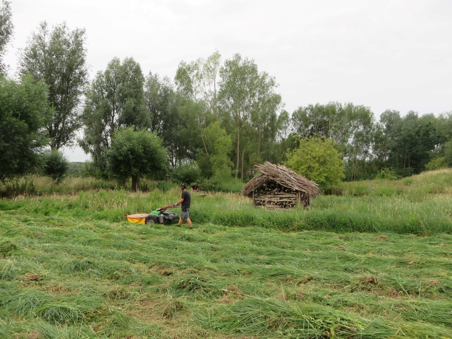 maaien in Rotersmeers juli 2017